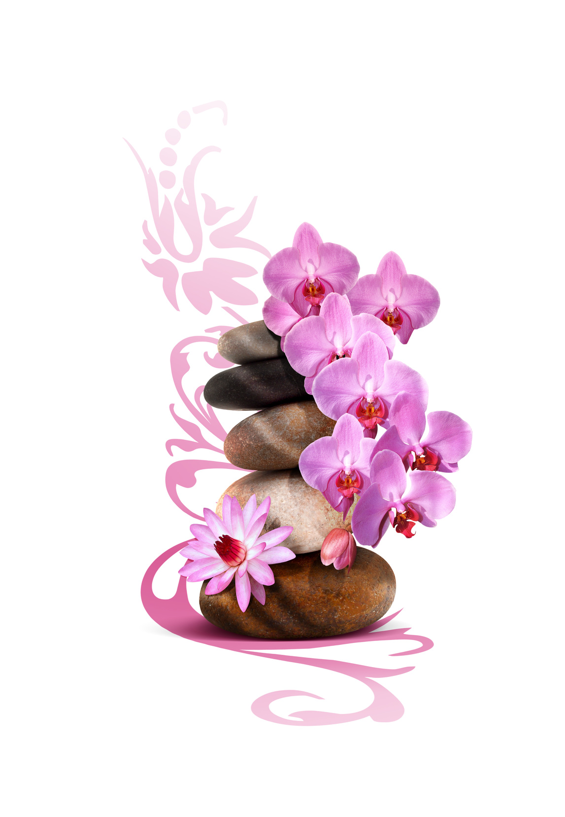 Douceur et Bien Etre