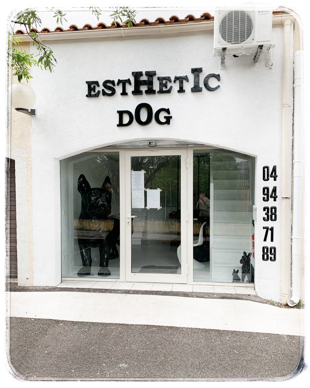 Esthétic Dog