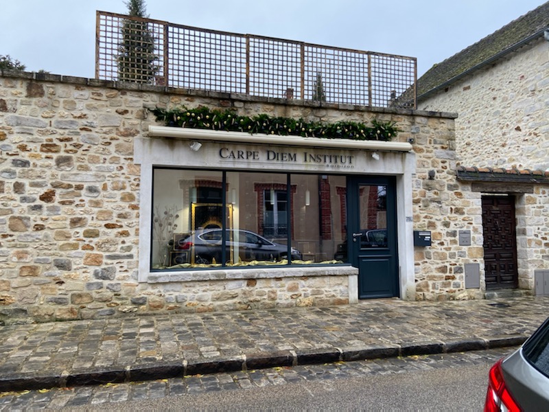 Carpe Diem Institut