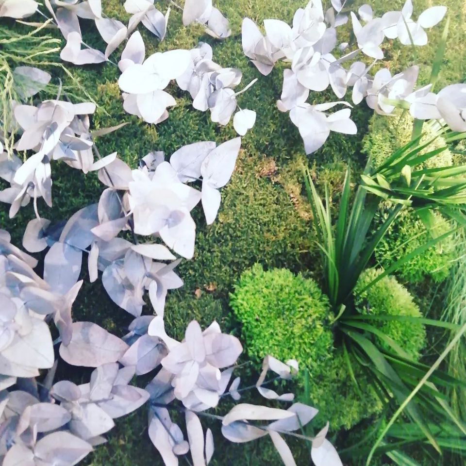 Ambaé Cosmétiques Naturels & Biologiques