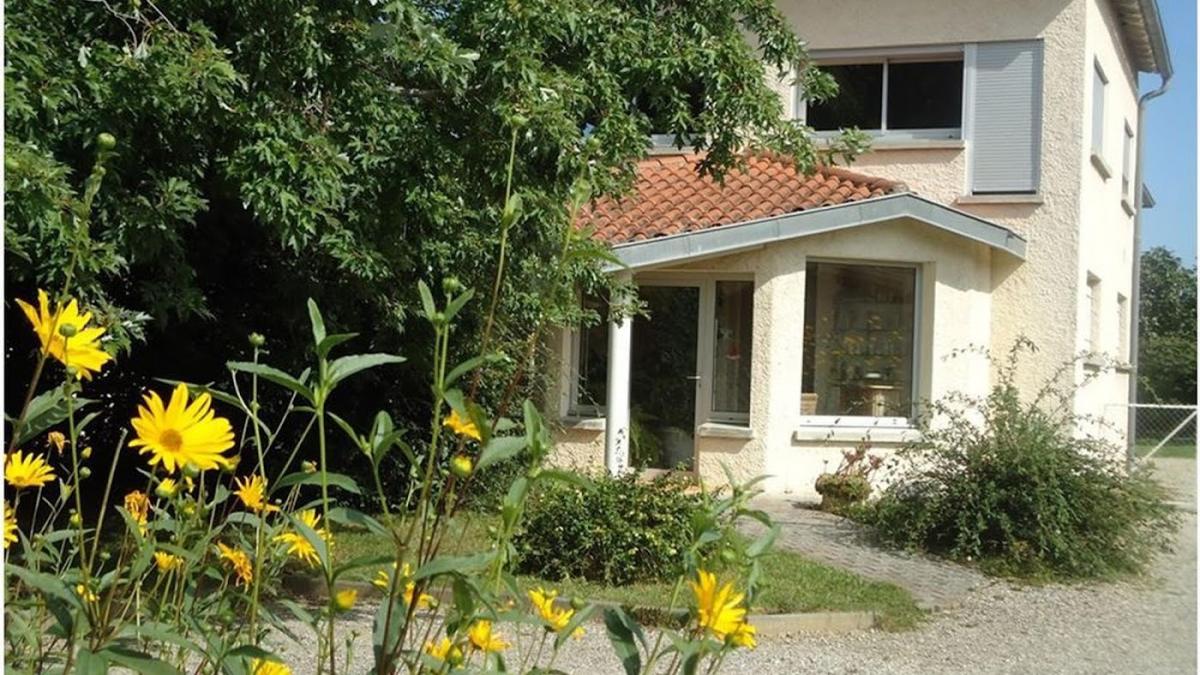 Institut de Beauté Alizé