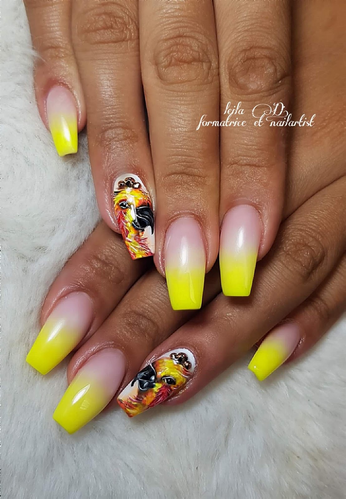 Leila Fait Les Ongles Formatrice & Nail Artist