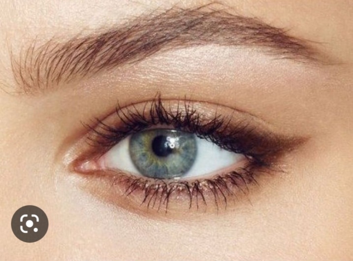 Institut de Beauté Sylvie