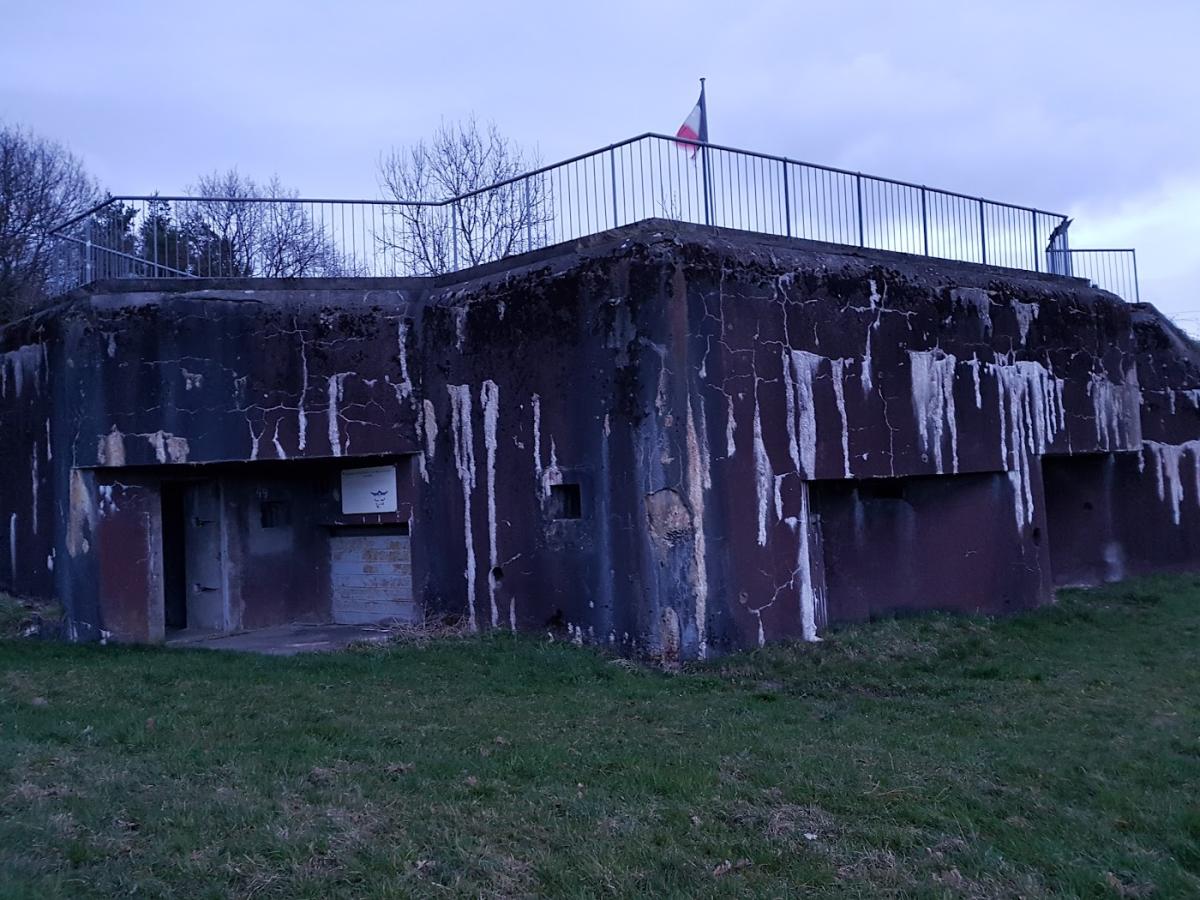 Staechelin Flota Brigitte