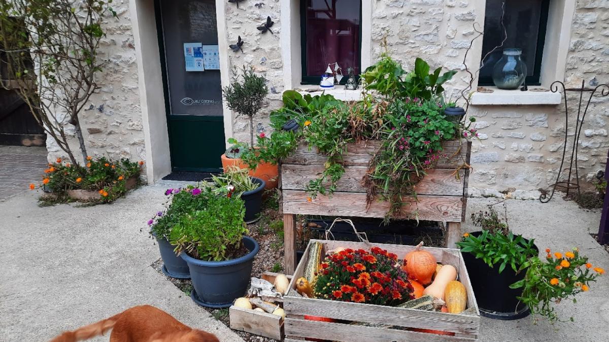 Libellule Institut (esthéticienne diplômée)
