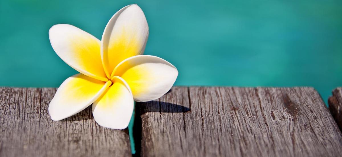 Institut de Beauté Envie de Plaire