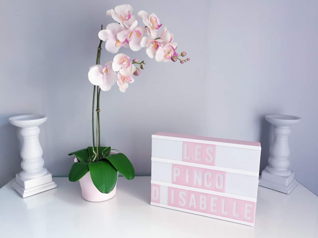 Les Pinc'o d'Isabelle