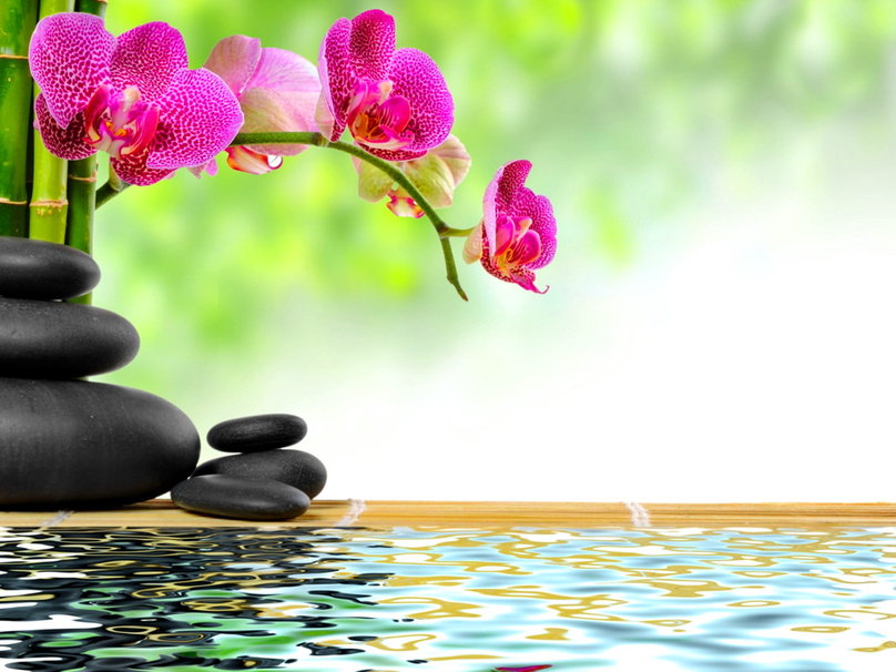 Zen Institut