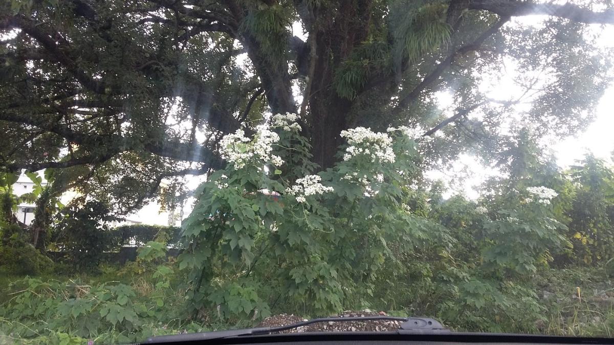 Institut Beauté Divine