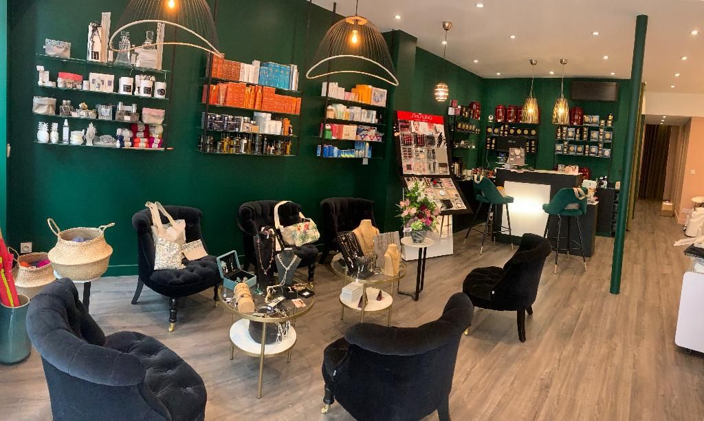 Emmanuelle Vincent l'institut