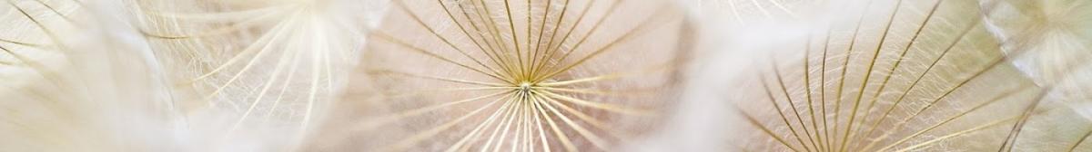 Françoise Anisset Esthéticienne Massages Enghien