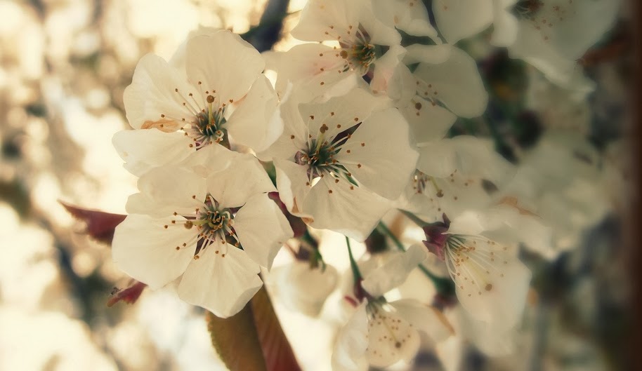 Lunessens Soins énergétiques & holistiques de Bien-être au Naturel