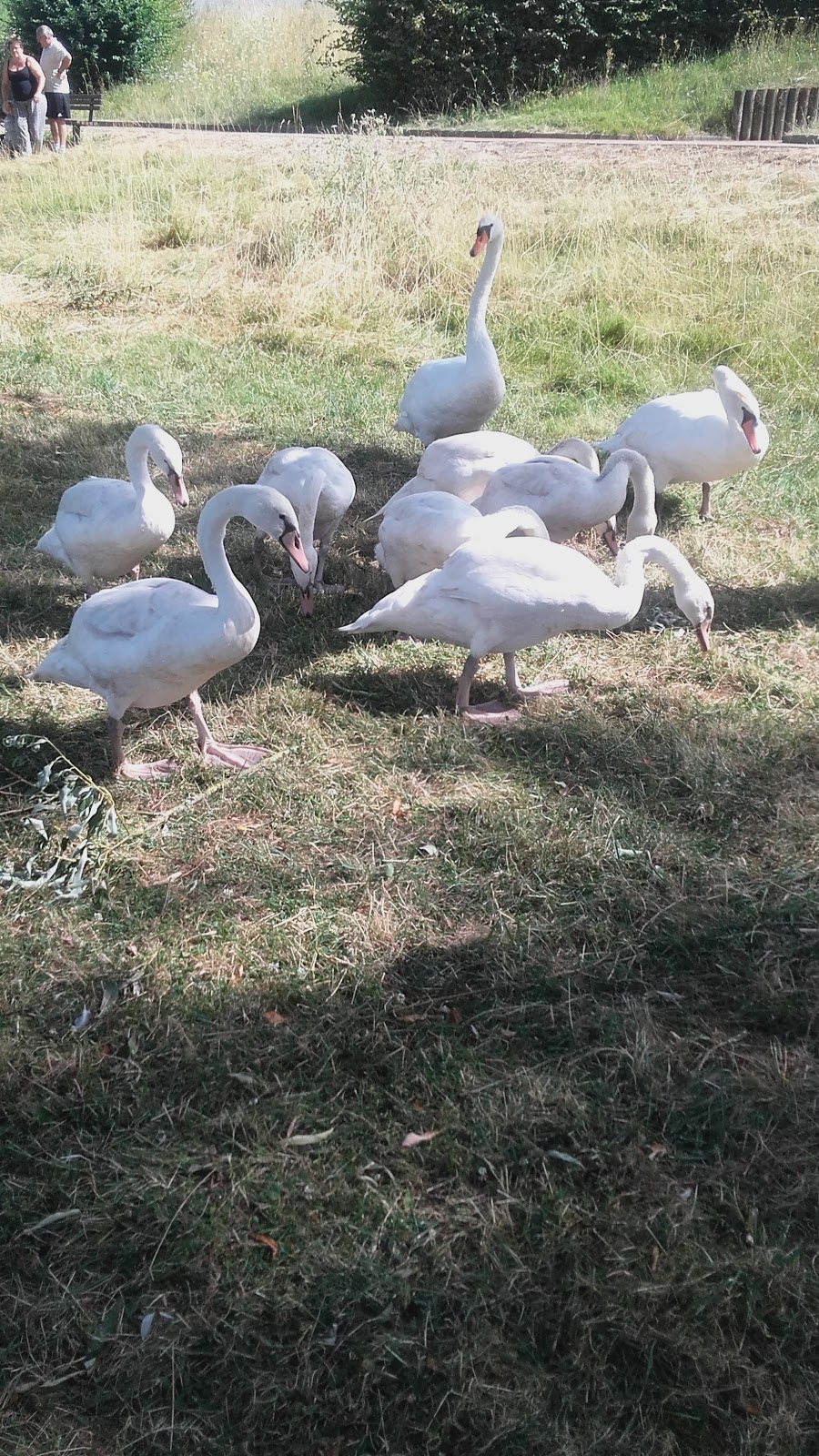 Espace Beauté Serendipity