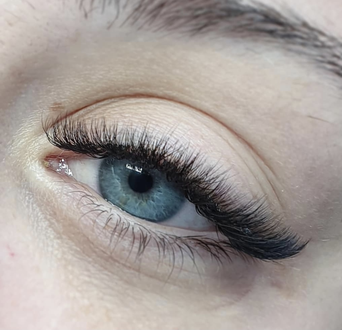 En un Clin d'Oeil 95