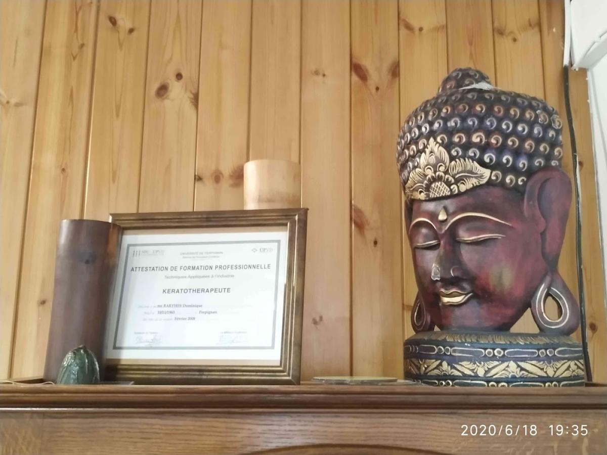 L'Orchidee Bleue Dominique