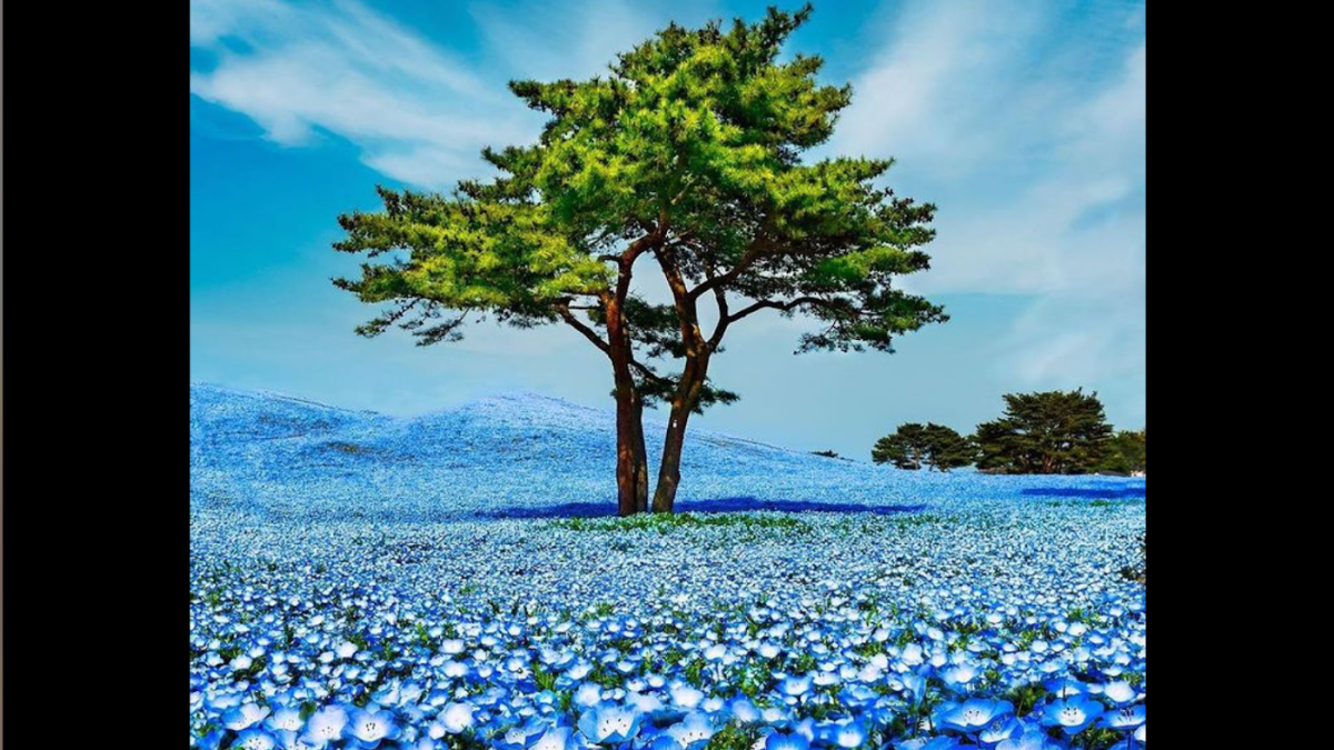 Institut Fanny Beauté