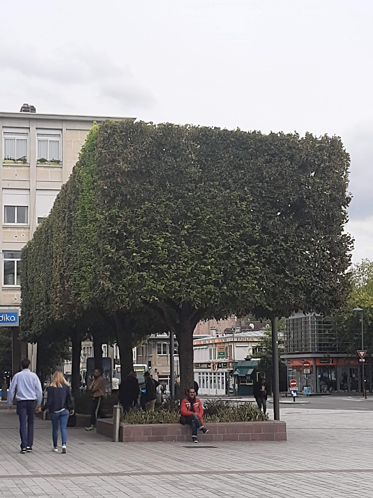 Nocibé - DOUAI