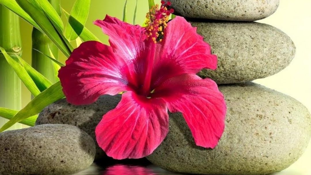 COCOONING BEAUTY soins esthétiques à domicile