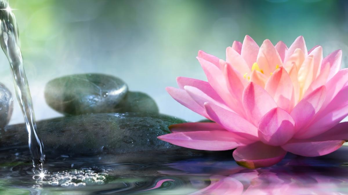 Escale Douceur - Institut de beauté