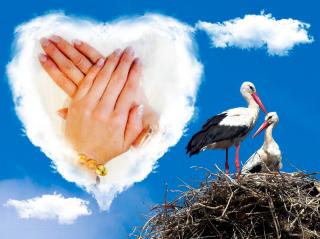 Salon de Manucure Ocean Nails 2 0