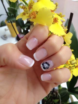 Salon de Manucure Ocean Nails 2 0