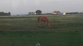 Salon de Manucure Becquet Sylvie 1