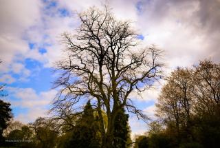 Salon de Manucure Hammam Zein Roubaix Barbieux 0