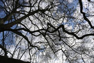 Salon de Manucure Hammam Zein Roubaix Barbieux 0