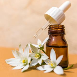 Salon de Manucure LE CHARDON Doré-Conseillère en Élixirs Floraux-Fleurs de Bach-Massages Bien-Etre-Soins Ayurvédiques 0