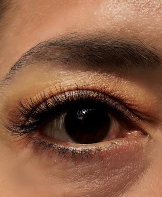 Salon de Manucure L'institut au féminin 0