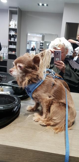 Salon de Manucure Franck Provost - Coiffeur Bourgoin-Jallieu 0