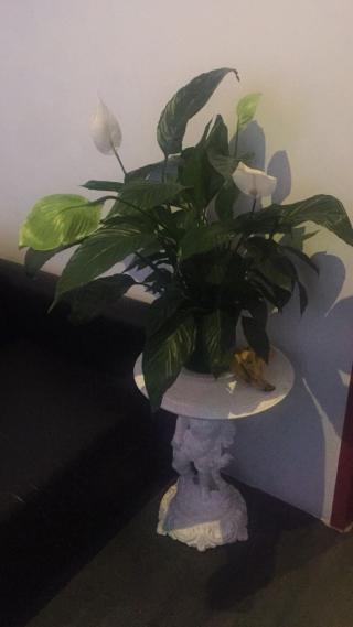 Salon de Manucure Jin D Or Beaute 1