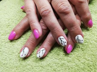 Salon de Manucure Institut LaureNail 0