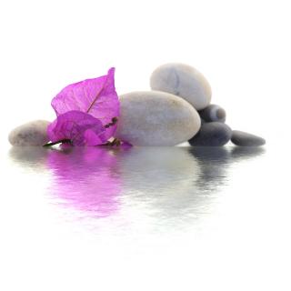 Salon de Manucure TAO Day-Spa, Sauna, Hammam, Jacuzzi, Modelages 0
