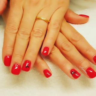 Salon de Manucure ARMONIA 1