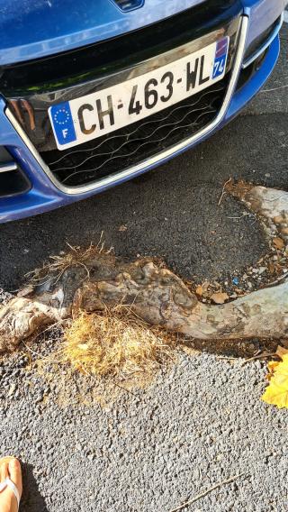 Salon de Manucure Yves Rocher 2