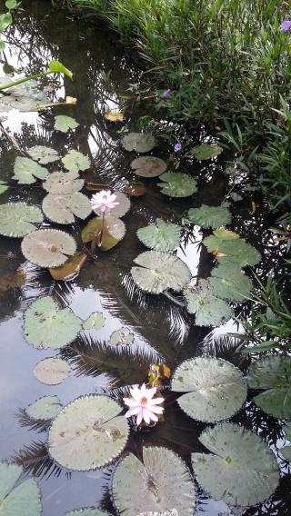 Salon de Manucure agniel christine 0