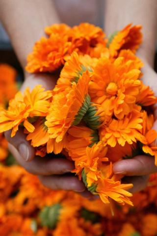 Salon de Manucure L'effet Bien-Être 0