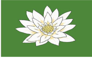 Salon de Manucure Kim Beauté Massage Thaï 0