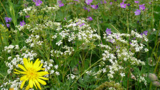 Salon de Manucure Floréal Institut 0