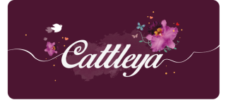 Salon de Manucure CATTLEYA INSTITUT ET PARFUMERIE ONGLERIE FUVEAU 0