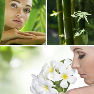 Salon de Manucure COCOONING BEAUTY soins esthétiques à domicile 0