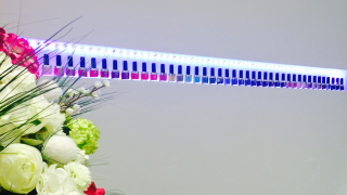 Salon de Manucure SALON DES ONGLES 0