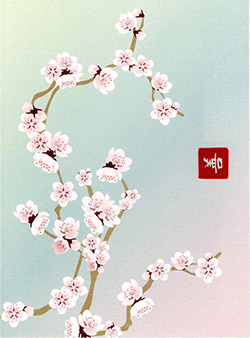 Salon de Manucure Zen Garden Institut & Spa 0