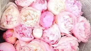 Salon de Manucure Laur'Esthetique 0