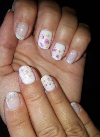 Salon de Manucure Secret d'Ongle 0