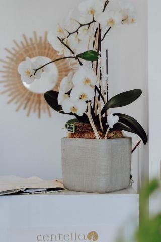 Salon de Manucure Institut Beleza 0