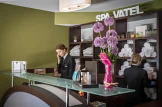 Salon de Manucure Vatel Wellness - Forme et beauté 4 étoiles 2