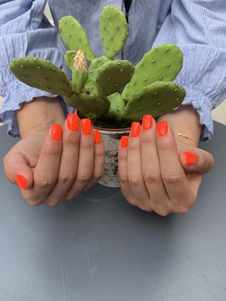 Salon de Manucure Beauty time’s 0