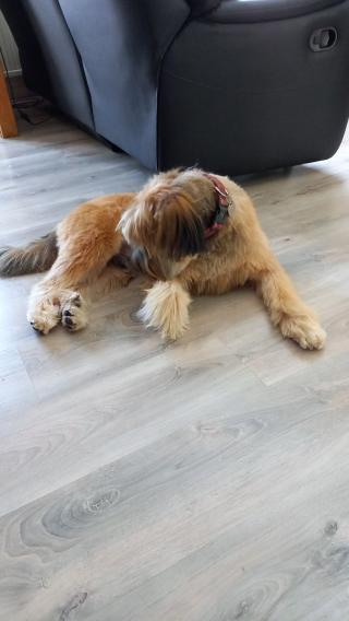 Salon de Manucure Le Palais de L'ongle 0